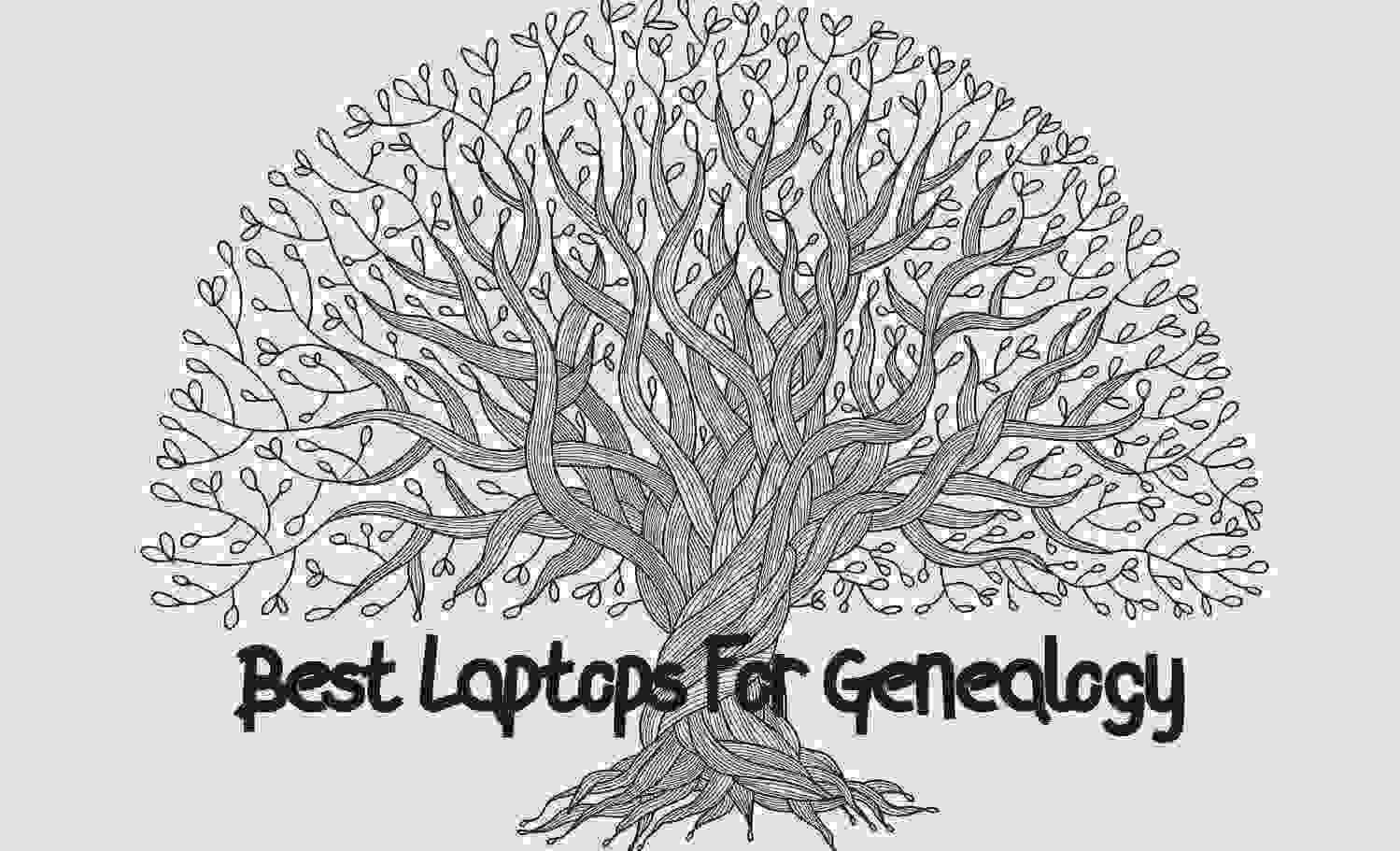 Best Laptops For Genealogy