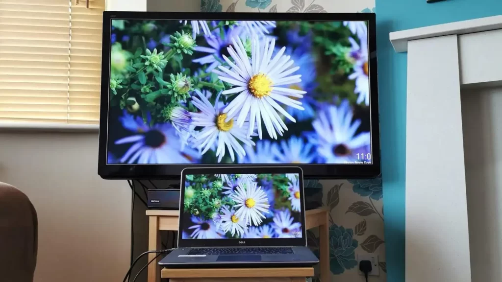 Hook up your laptop to your TV